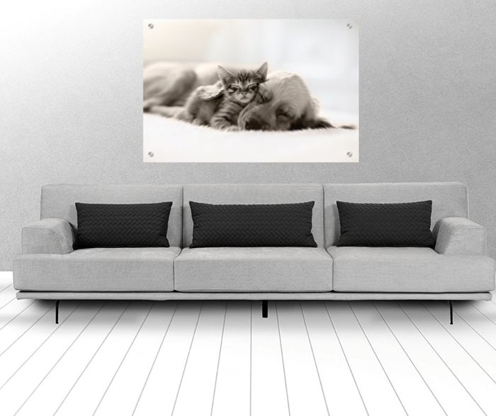 תמונת זכוכית חדרי ילדים