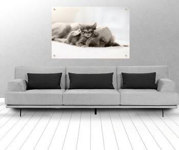 תמונת זכוכית חדרי ילדים