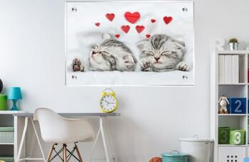 תמונת זכוכית חדרי ילדים